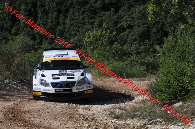 DSC_4775.JPG